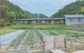 浏阳市官渡镇田郊村南边生态农场，亲子、团建、研学等多元化体验！